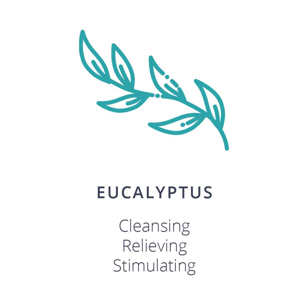 Eucalyptus Ingredient Card