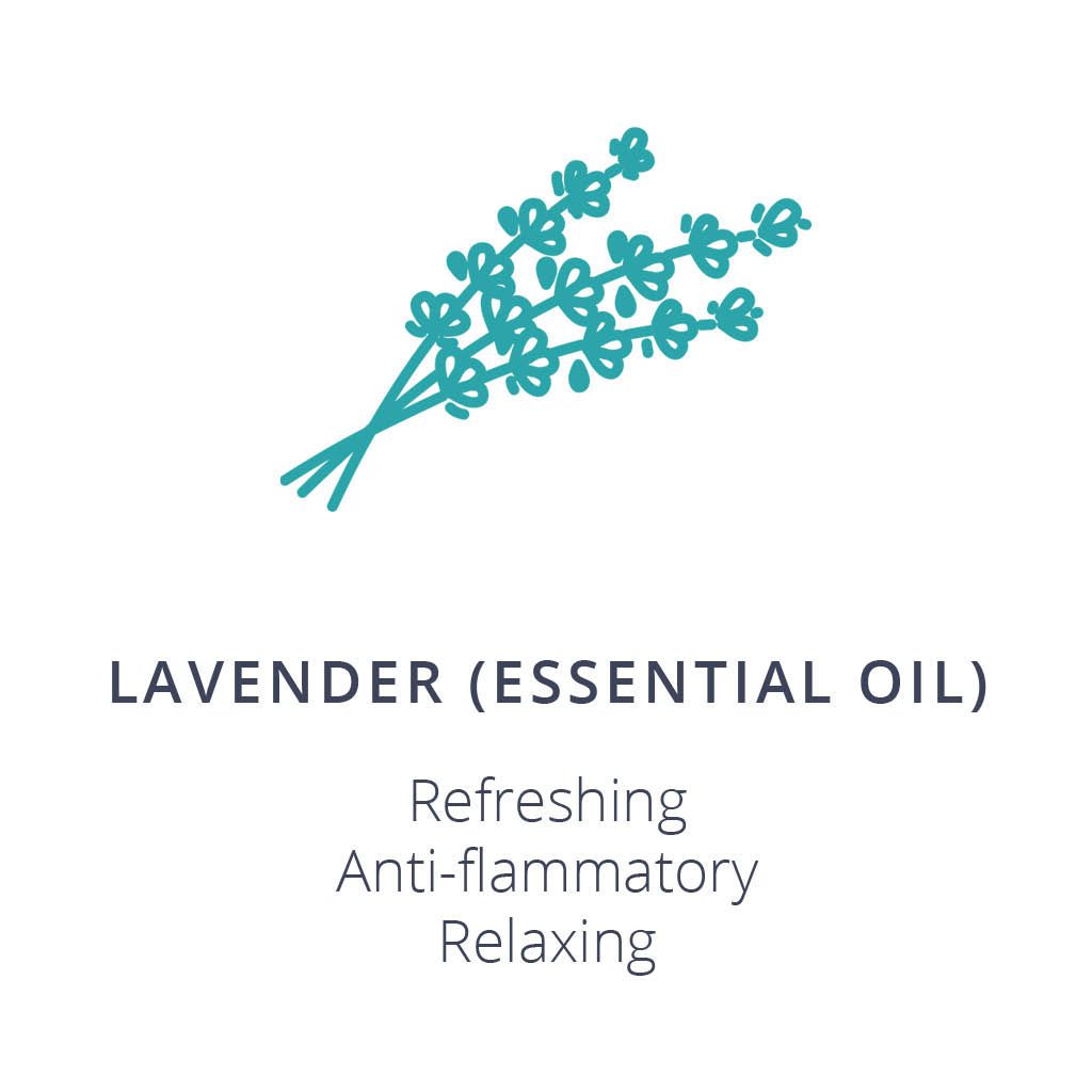 Lavender (Essential Oil) Ingredient Card