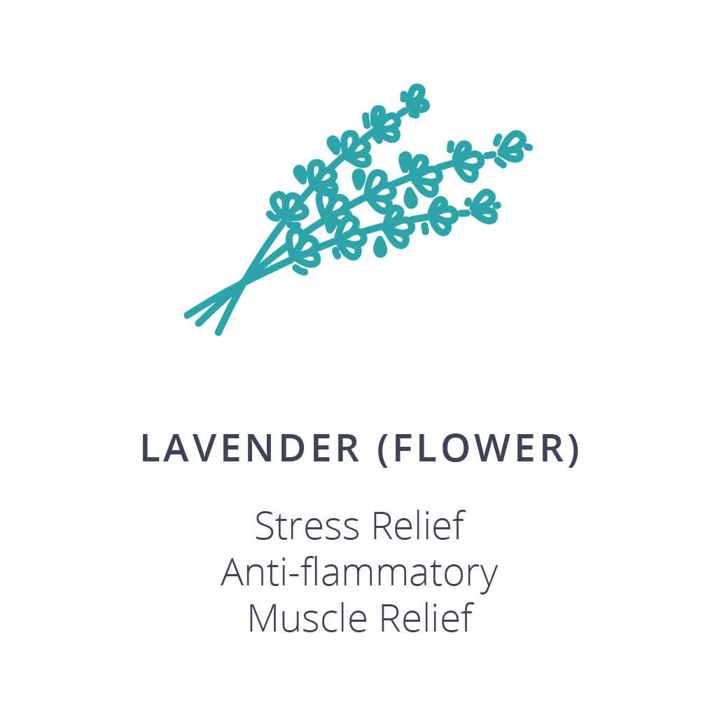 Lavender (Flower) Ingredient Card