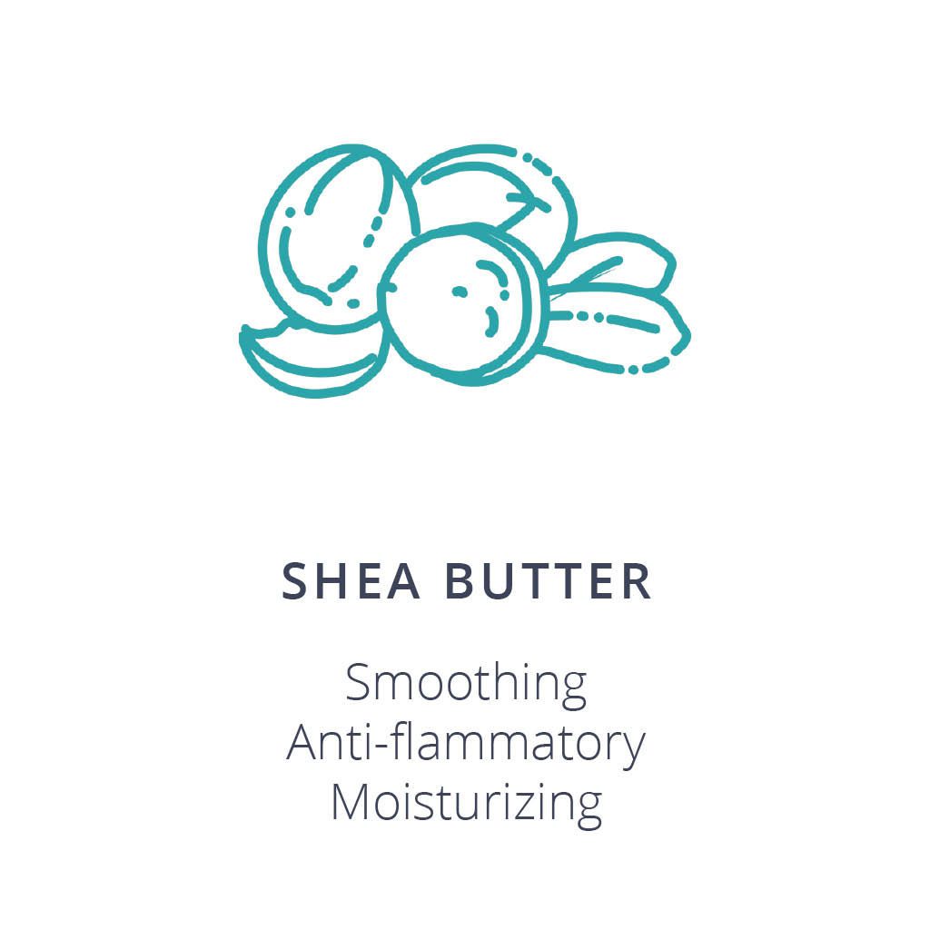 Shea Butter Ingredient Card
