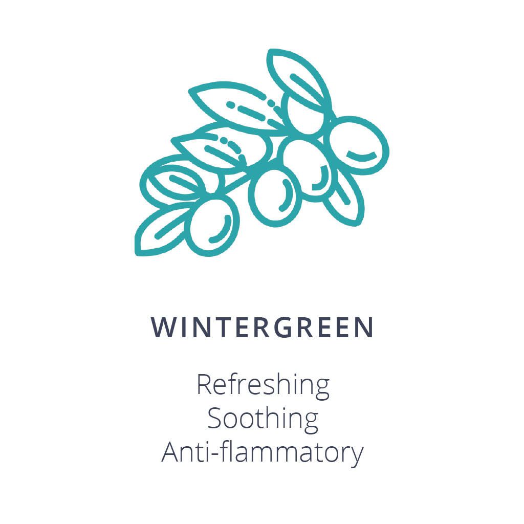 Wintergreen Ingredient Card