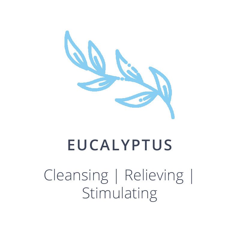 Active Releaf Eucalyptus 01 v2