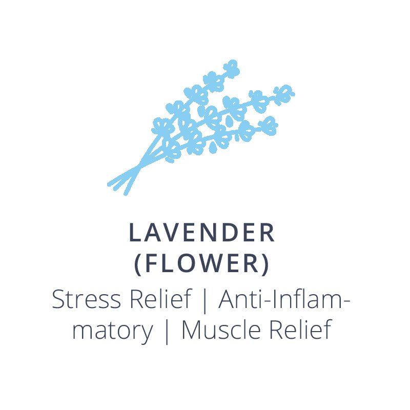 Active Releaf LavenderFlower 01 v2