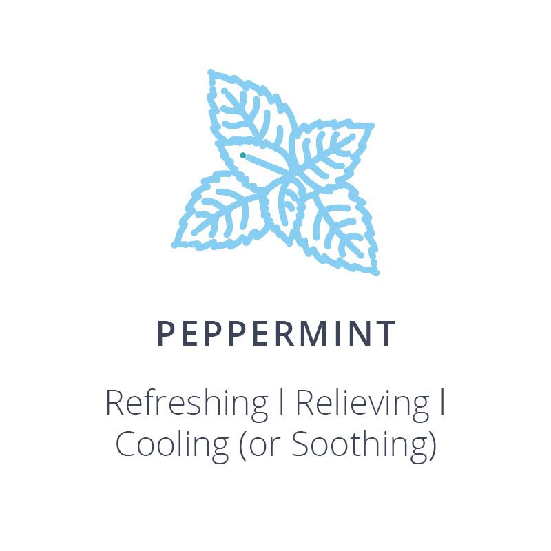 Active Releaf Peppermint 01 v2