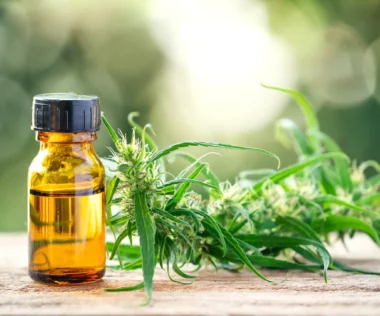 What is CBD Oil? A Guide to Its Benefits and Uses