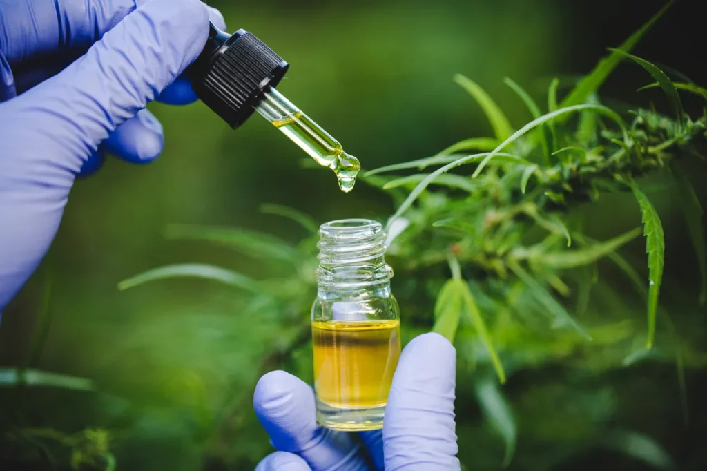 how much cbd oil should a beginner take