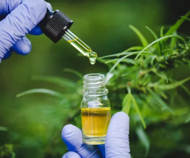 How Much CBD Oil Should A Beginner Start With?