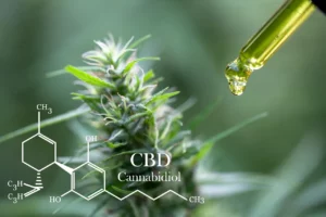 The Great Cannabis Awakening: How CBD Shed Its Taboo Status in Canada