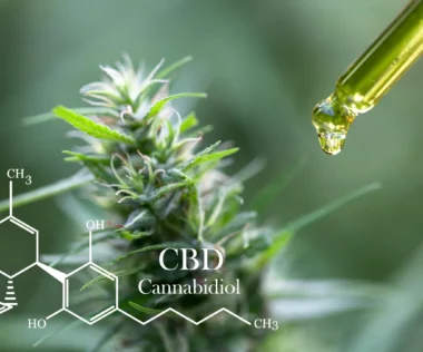 The Great Cannabis Awakening: How CBD Shed Its Taboo Status in Canada