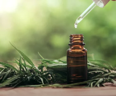 Getting Started with CBD: 10 Tips for Beginner Cannabis Users